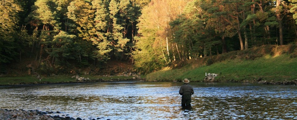 A view of the river